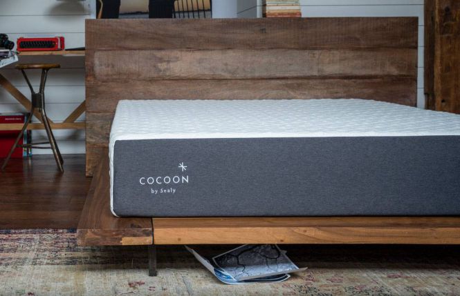 Cocoon by sealy 10 chill memory foam cal king mattress Nolah Vs Cocoon Chill Mattress Comparison Review