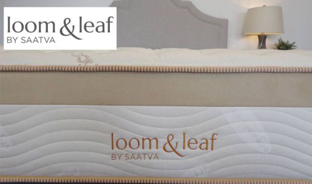 casper vs loom and leaf mattress comparison