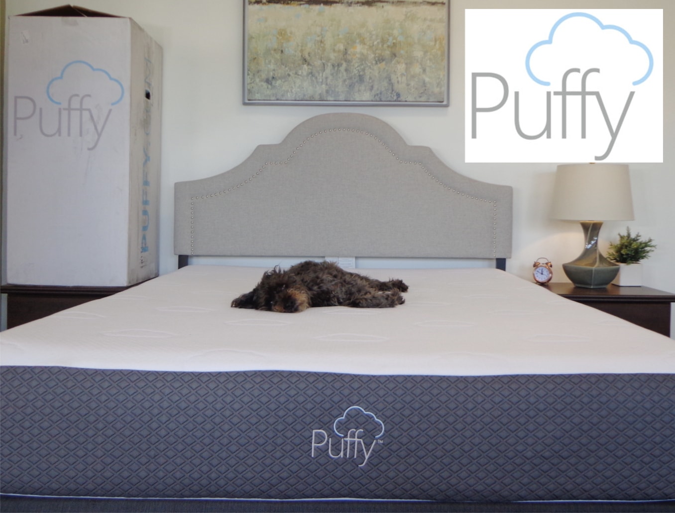 casper vs puffy mattress comparison