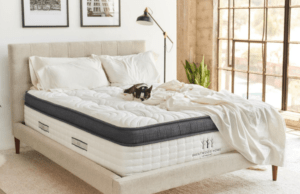 oceano mattress review