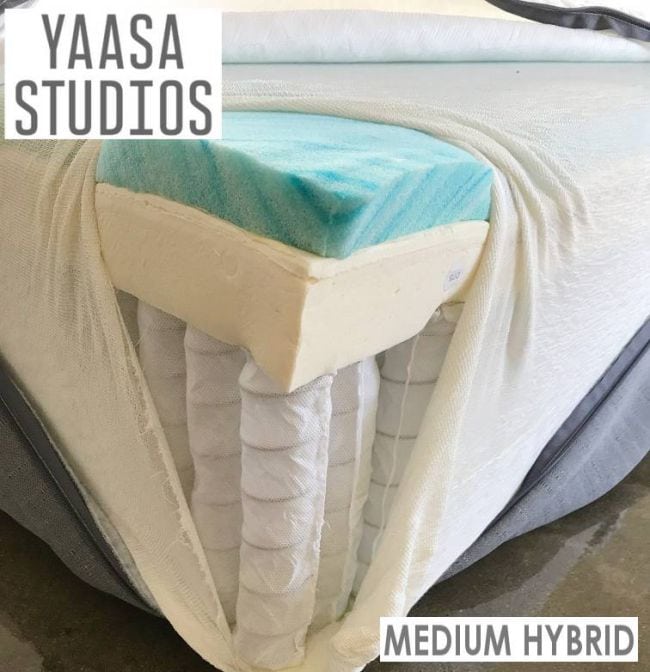 purple vs yaasa studios