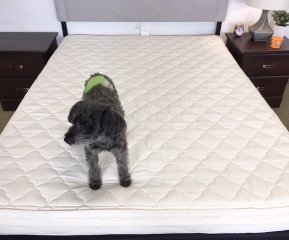 metta bed mattress review
