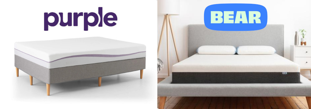 purple vs bear mattress comparison review