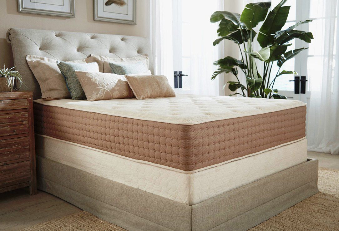 eco terra mattress review