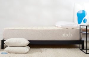 birch mattress