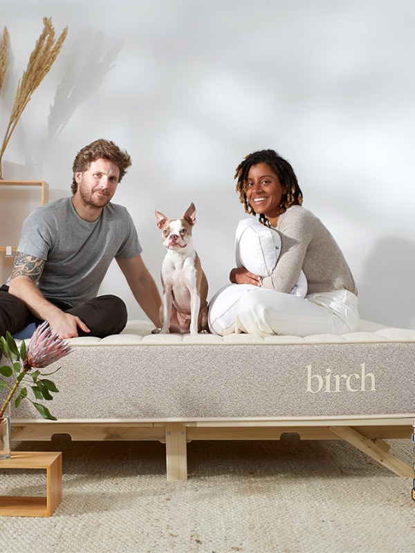 birch mattress lifestyle woman dog and man