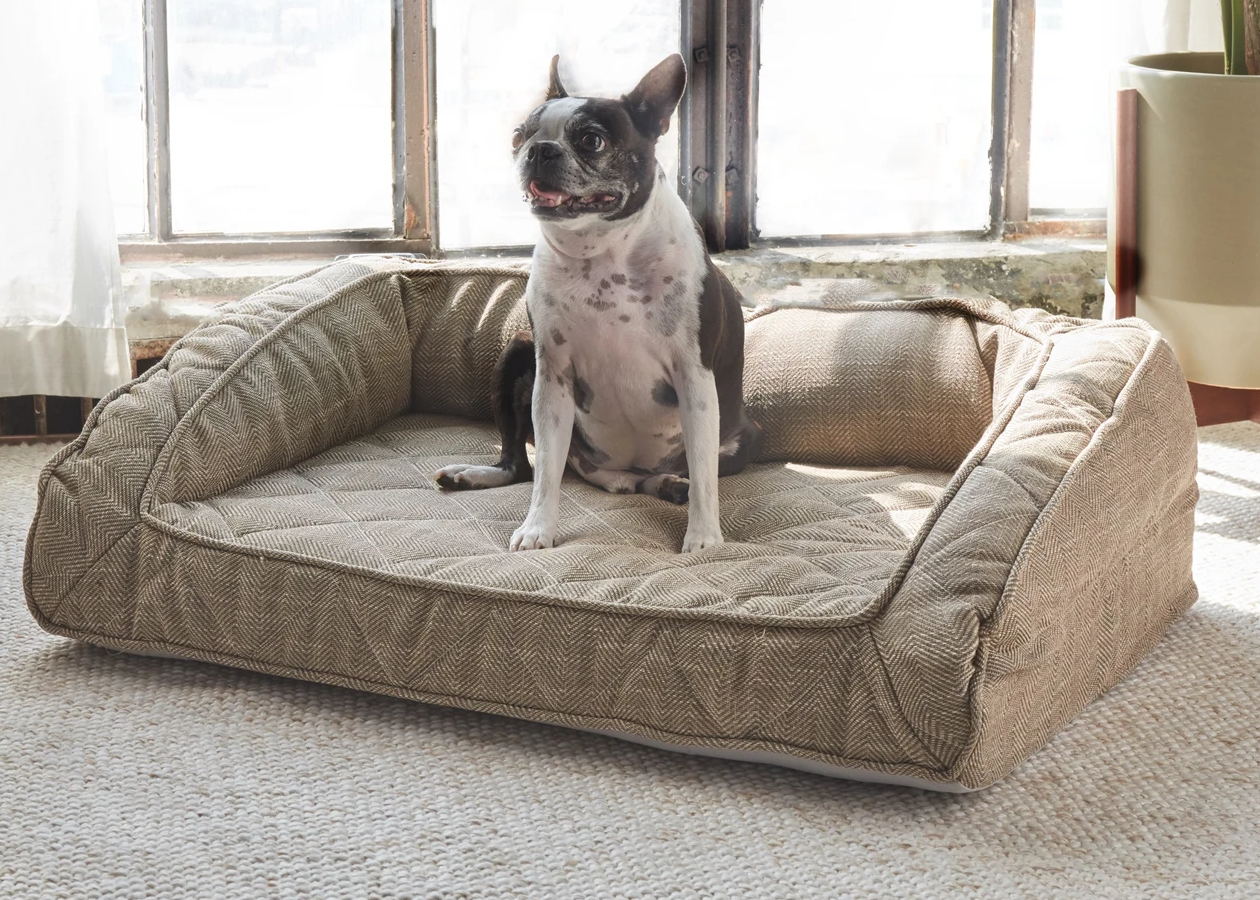 brentwood home runyon orthopedic pet bed