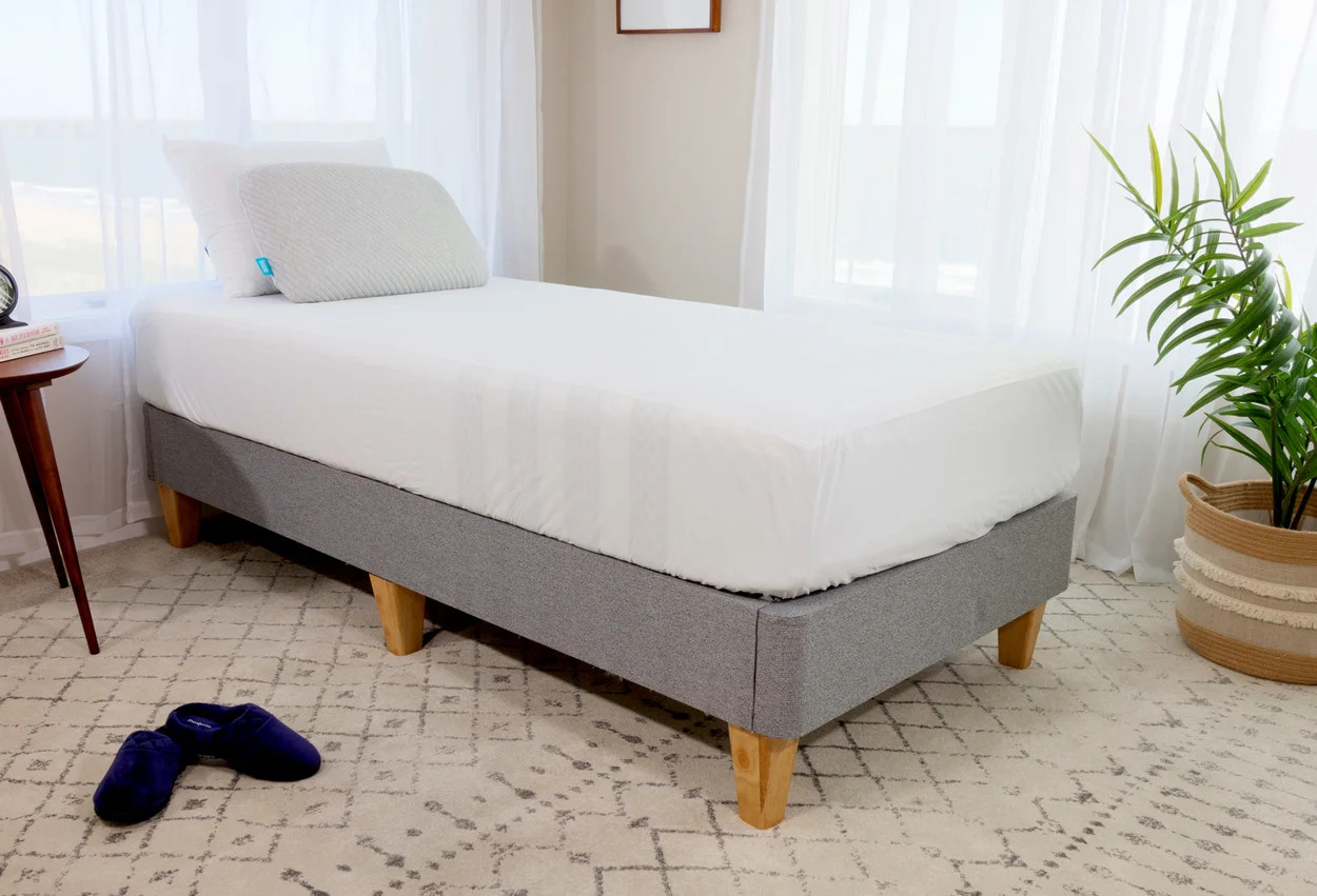 the mattress protector by leesa