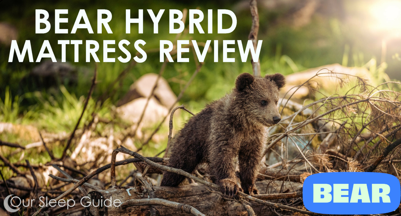 bear hybrid mattress review