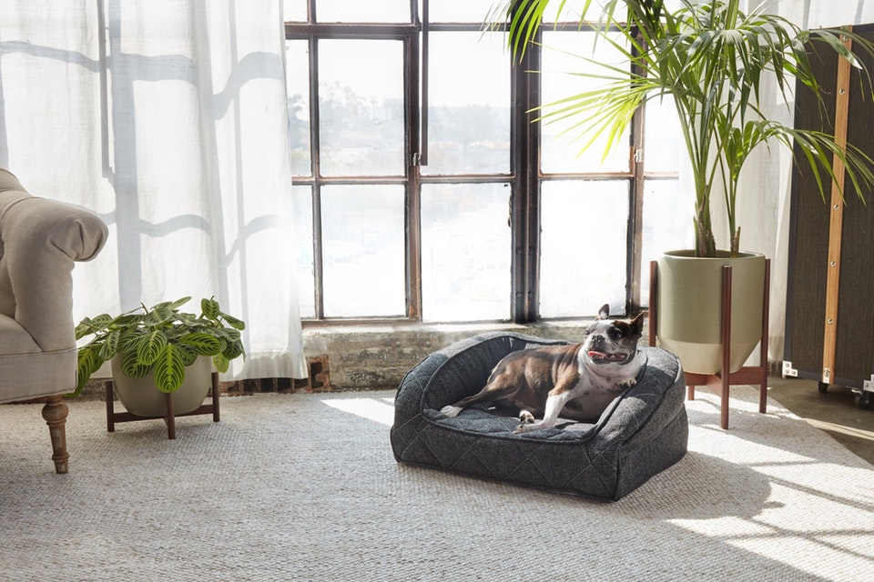 brentwood home dog pet bed