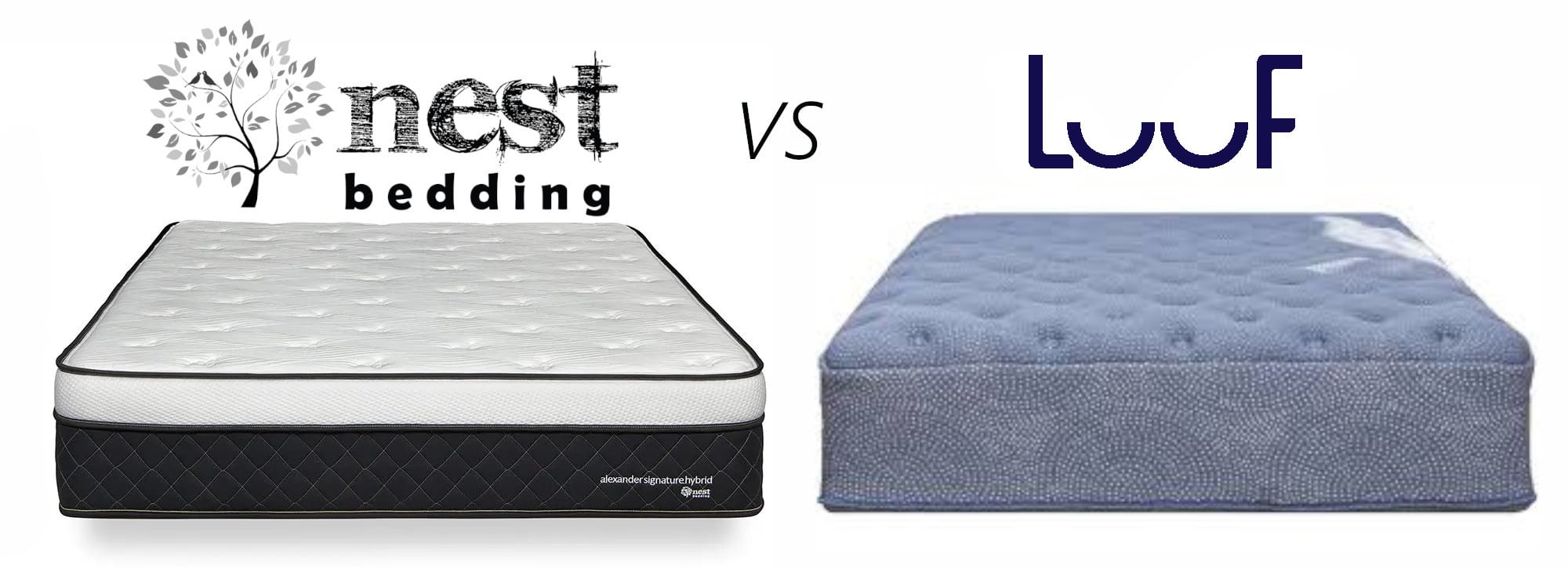 nest bedding alexander hybrid vs luuf mattress comparison review