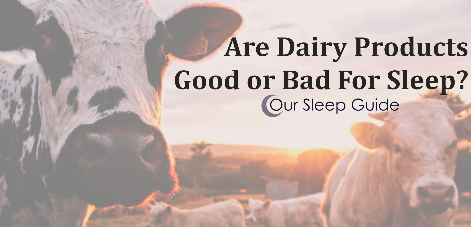 dairy products good for sleep?