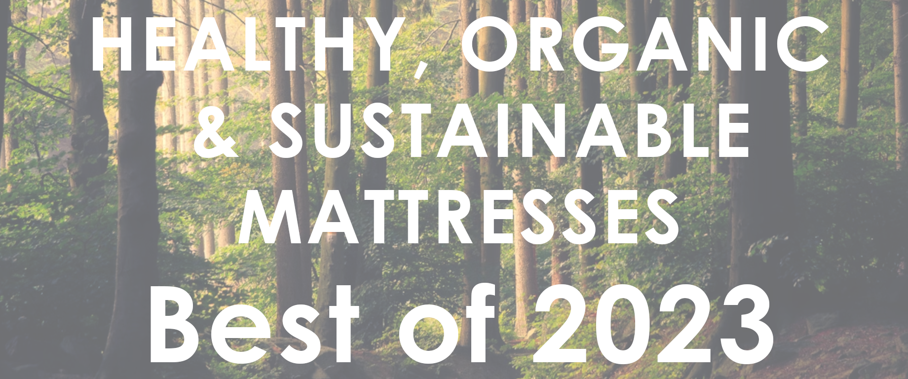 best natural organic mattresses of 2023