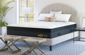 nolah evolution comfort plus mattress review