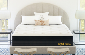 nolah evolution mattress review 2023